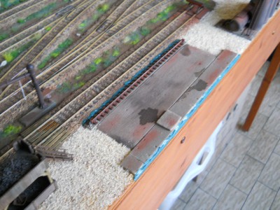 DSCN9541.JPG