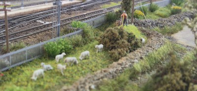 Norma GasTT - Stazione di Campeda - Dintorni