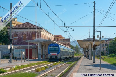 17949107.jpg