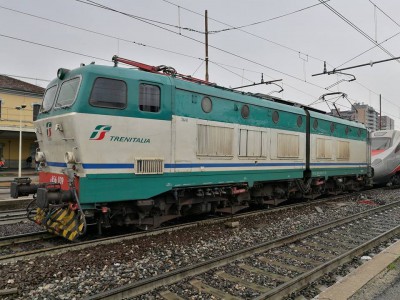 caimano1.jpg