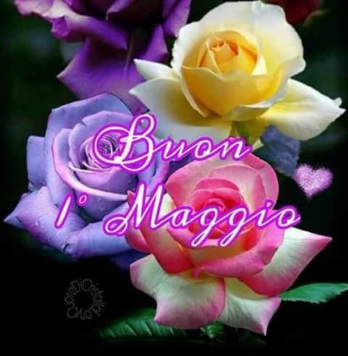 IMG-20180501-WA0000.jpg