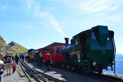 DSC_1571-r.JPG