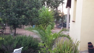 20160703_204445.jpg