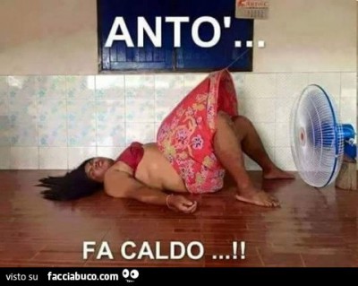 anto.jpg