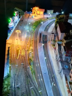 ripresa dal drone