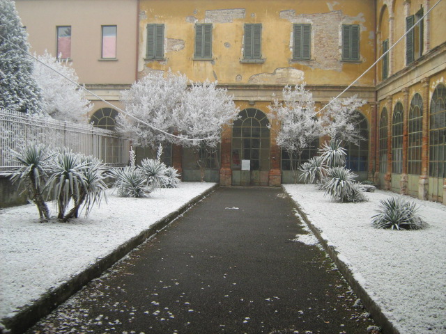 Immagine